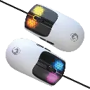 1.webp