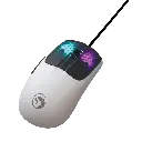5.webp