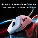 774382144.webp