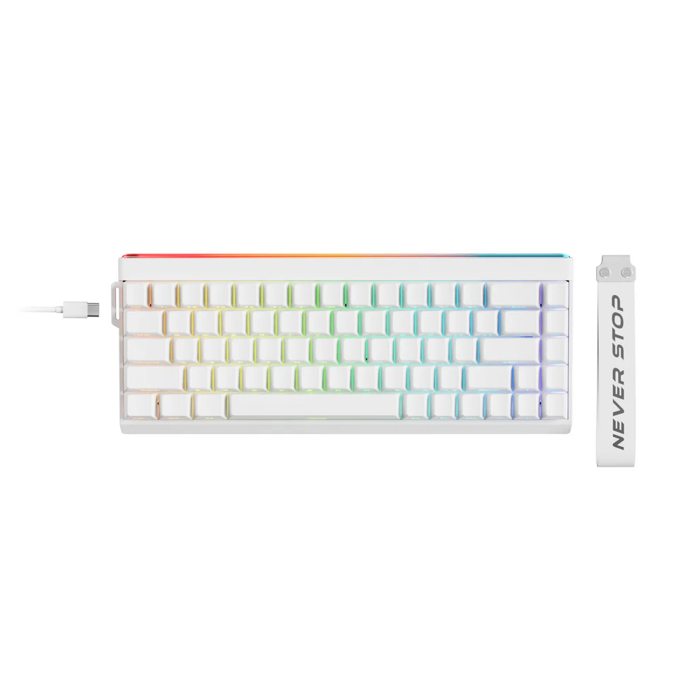 EWEADN DK68 HE Magnetic Switch Keyboard - White